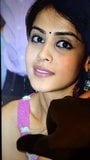 Genelia D'souza Hot facial snapshot 3