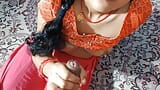 Bhabhi ko kaam karte huye chod Diya snapshot 3