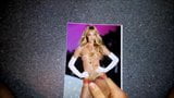 Candice swanepoel haraç 2 snapshot 4