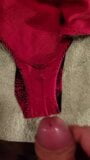 My wife's red dirty panties snapshot 8