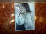 I cum on a Jelena Jensen picture (14 spurts) snapshot 4