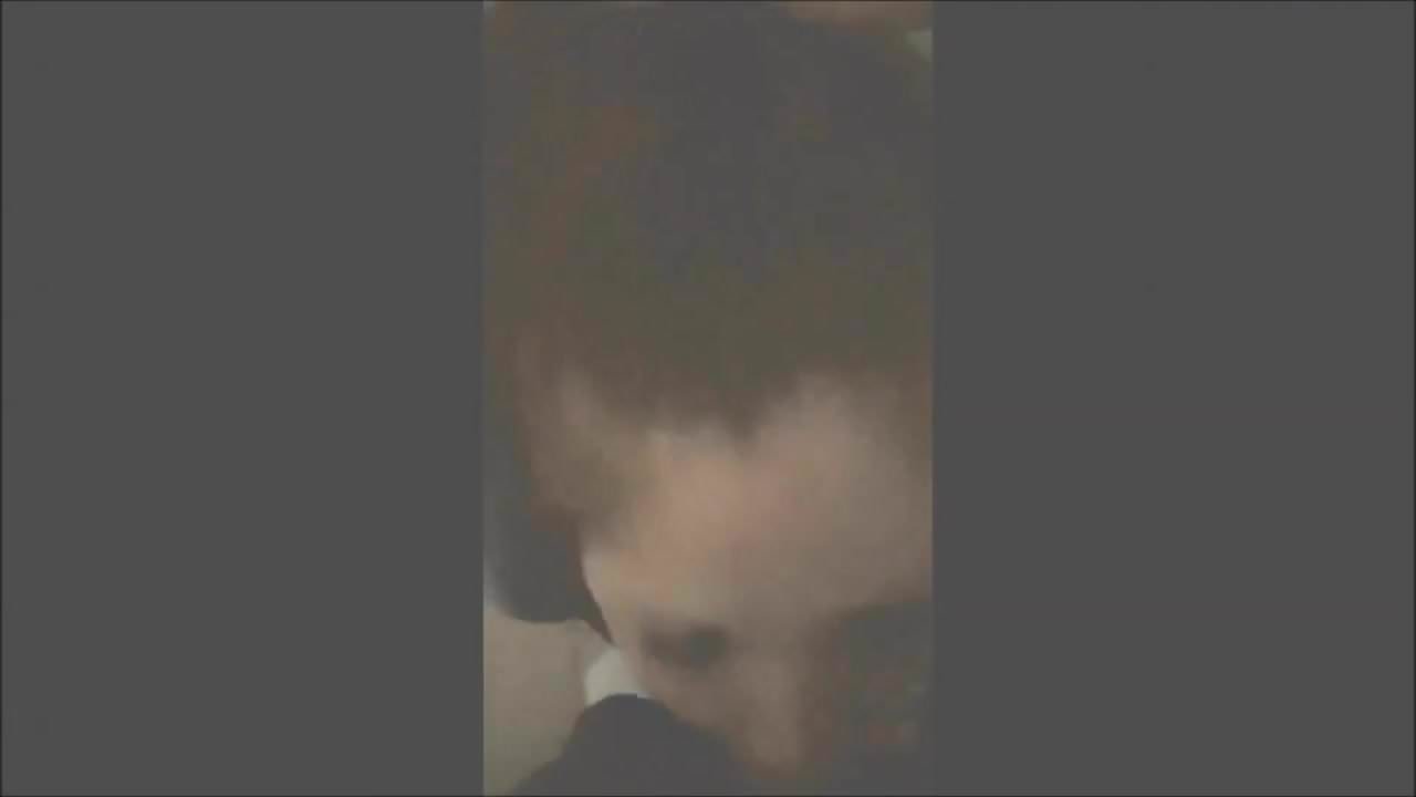 Az engedelmes vörös hajú lenyeli a fekete gecit