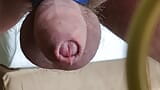 Enorme lading sperma in slow motion handsfree snapshot 1