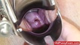 Oslava ragged puss is sure to pass this snapshot 14