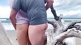 Creampie anal sur une plage publique snapshot 14