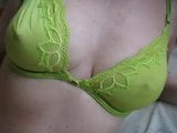 squirtys chartruse bra snapshot 1