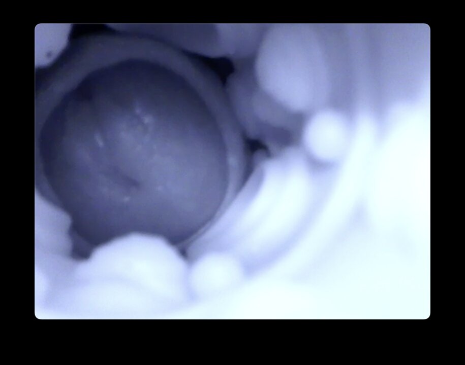 Pussy cam, Uncut dick fucking sex toy with camera inside. feat. Milky Tata   Asian, Big Cock, Latino, Masturbation, Nude Gay Porn | xHamster