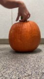 Pumpkin With A Side Of Pussy snapshot 1