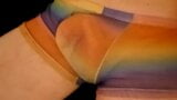 Komm in Regenbogen-Mesh-Shorts snapshot 2