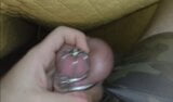 Permanent Chastity - Cumming under the blanket snapshot 7