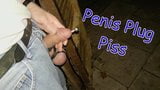 Cbt - mear enchufe del pene snapshot 1