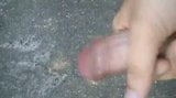 Outdoor Cumshot 8 snapshot 7