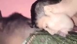 Desi chú có blowjob với snapshot 1