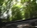 Dogging im Wald mit speziellem Ende snapshot 1