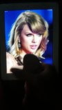 Taylor Swift 10 snapshot 3