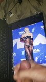 Miley Cyrus Sheer Outfit Tribute snapshot 2