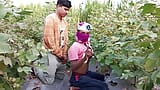 Indische shemale-films - Pooja shemale Bhabhi Cotton Farming komt en grote leeftijd vriend kontliefhebber - Desi neuken - Hindi-stem snapshot 7