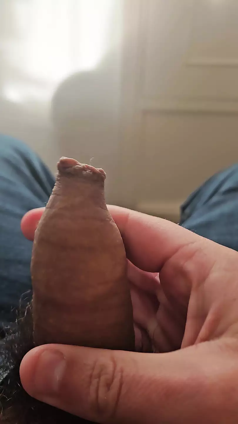 Hårig kuk lång förhudslek