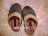 Well worn slippers snapshot 1