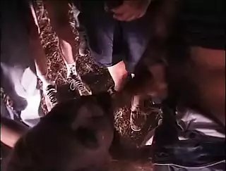 Hojatxonada katta sik