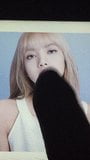 BLACKPINK Lisa Cum Tribute snapshot 1