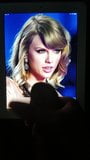 Taylor Swift 10 snapshot 2