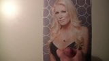 heidi montag 찬사에 정액 snapshot 1