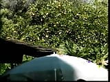 Horny blonde busty chick fuck in backyard from behind snapshot 2