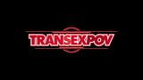 Transexpov.com: Bleib zu Hause, Shiri snapshot 1