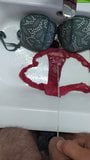 Piss on sister's bra and thong snapshot 4