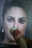 Priyanka Chopra, actrice de Bollywood à Hollywood, cum cum chaud snapshot 5