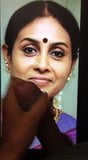 saranya cum tribute snapshot 7