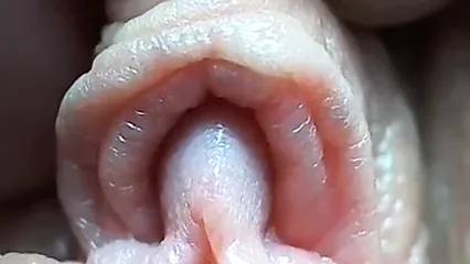 Closeup clitoris クリトリスのクローズアップ | xHamster