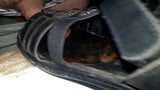 Nevlastní mámy sandály peeptoes mules nohy stříkání uvnitř chodidel snapshot 6