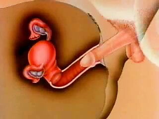 woman's impregnation