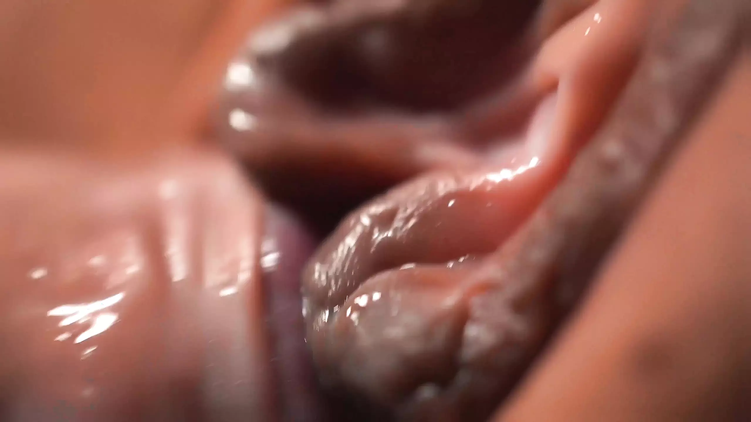 Breeding Juniper Ren - Breedme Messy Creampie. 