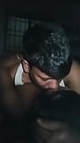 Indische möpse küssen sich snapshot 3
