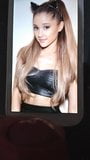 Hommage au sperme Ariana Grande snapshot 3