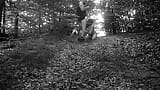 Naked submissive slut taken for a walk on a leash in forest HUMILIATION snapshot 10