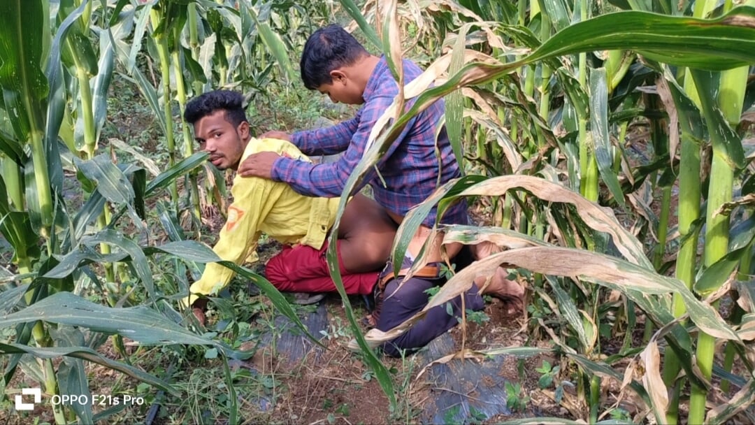 Indian Desi Movies – A laborer working in a corn field fucked his partner’s ass – Hindi Voice
