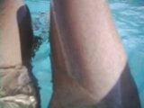 pantyhose in swimming pool snapshot 2