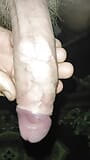 Big Dick snapshot 2