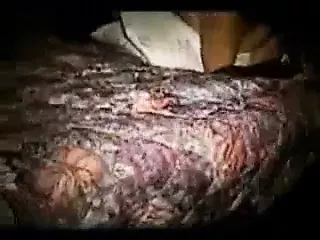 Guy tapes submissive wife with dominant bull