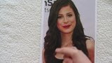 Typ wichst geile Ladung auf Lena Meyer-Landrut snapshot 4