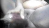 Batu, tatie, masturbation snapshot 3