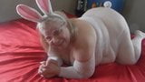 EASTER BUNNY snapshot 1