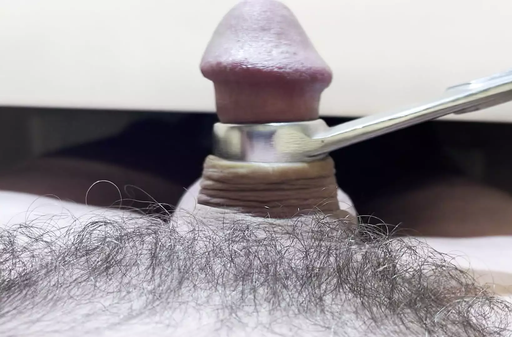 Micro Penis Shemale