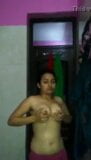 Indian Aunty snapshot 4