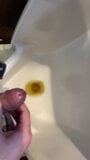 Pee with masturbation and cumshot in urinal snapshot 4