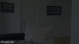 Ashlynn Taylor, masturbation poilue snapshot 1